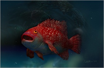Final fishy school Final fishy school
