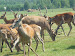 P1090750.JPG