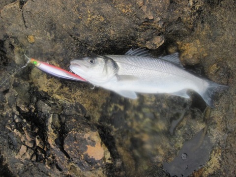 [IMG_0784%255B8%255D.jpg]