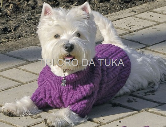 [dog%255B8%255D.jpg]