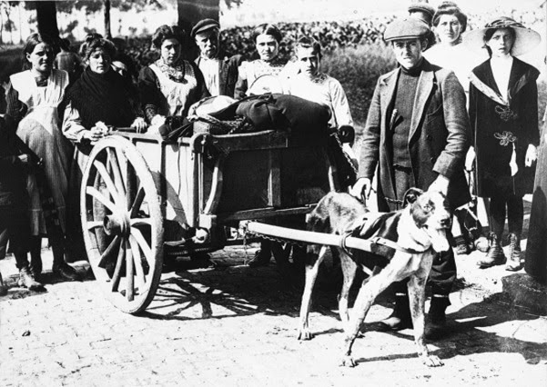 Primeira Guerra Mundial Primeira Guerra Mundial
