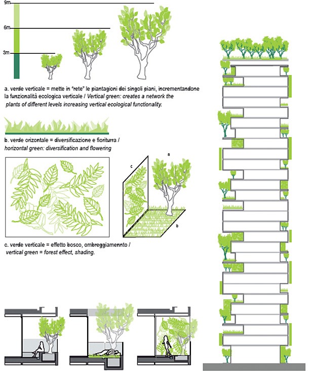[First-Vertical-Forest-06%255B3%255D.jpg]