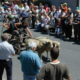 600 Jahre Singen - DSCN1268.JPG