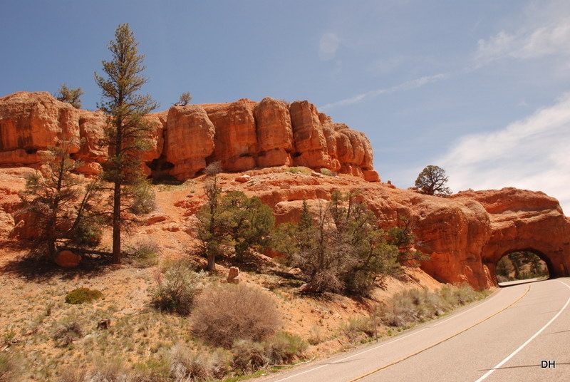 [05-24-13-A-Dixie-NF-Red-Canyon-Area-%255B16%255D.jpg]
