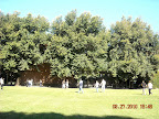 20100327154625DSCN0423.JPG