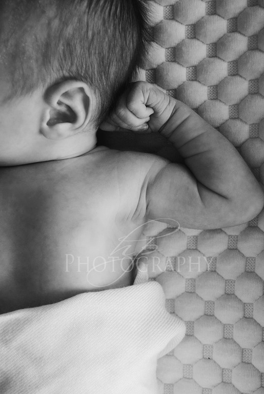 [HPP_4615bw5.jpg]