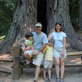 Big Basin Redwoods Camping