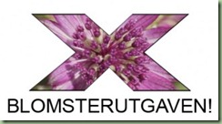 x-rosa-326x179