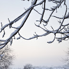 DSC_7682.jpg