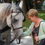 Wien 2008
