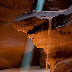 20090511_AntelopeCanyon_035.jpg, Upper Antelope Canyon, Antelope Canyon 09
