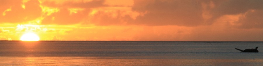 [SaipanTankNoText%255B3%255D.jpg]
