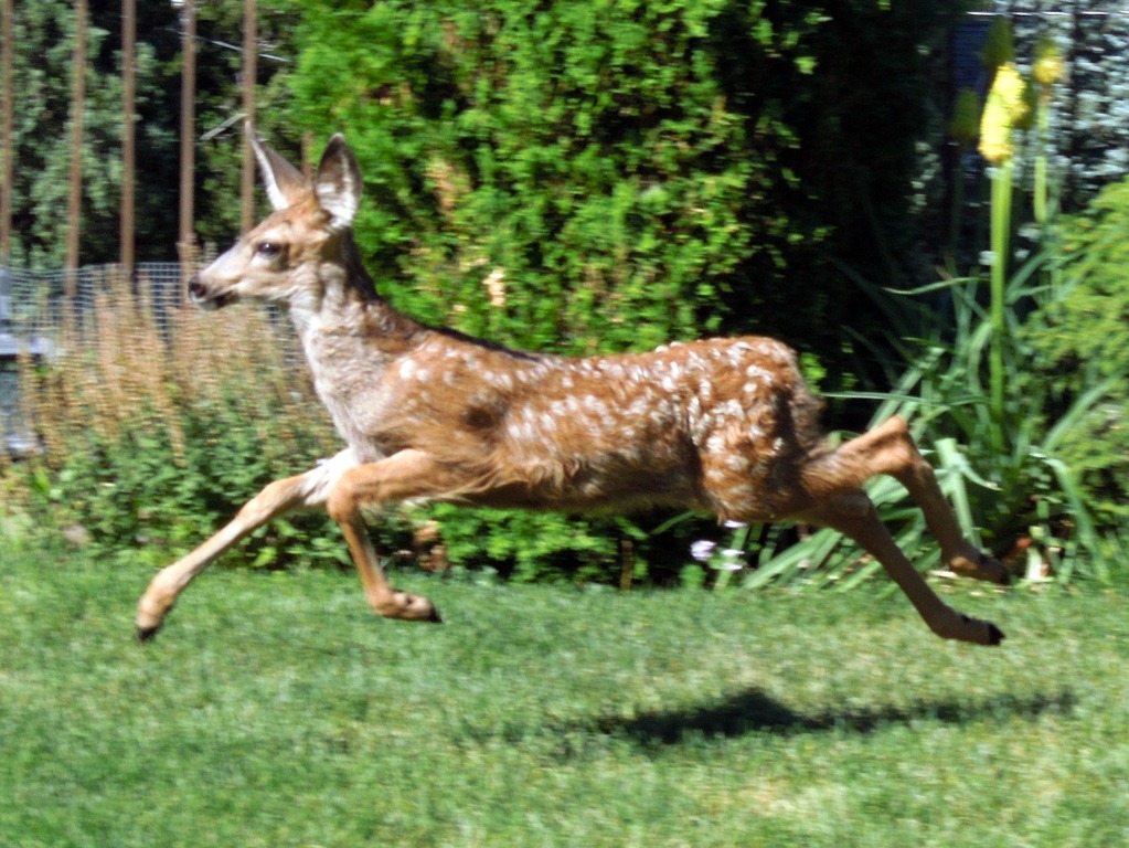 [DSCN2599%255B3%255D.jpg]