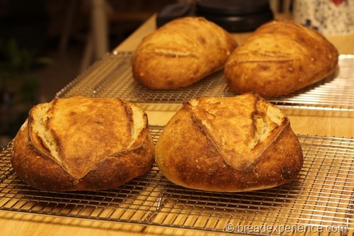 sourdough_bread068