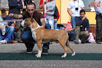 Karmacoma Fun-Da-Panda 7 months