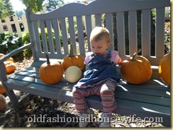 Picture 048