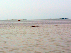 P1220273.png P1220273.png