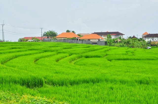 [DSC_0075%255B3%255D.jpg]