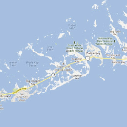 Exploring Key West Waters with Victoria