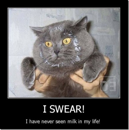demotivation-weekend-16