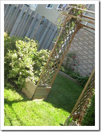 Picture 120