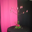 jacinto_campos_03122011_09.JPG