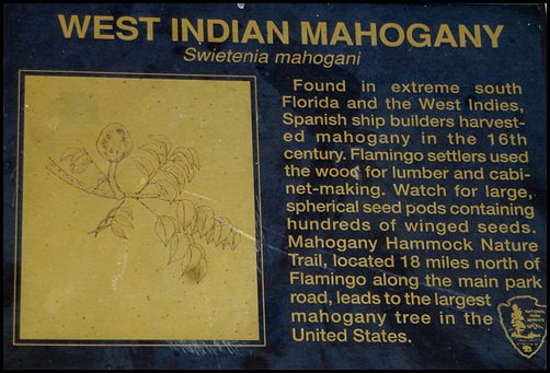 10c - Tree Walk - Mahogany Tree Sign