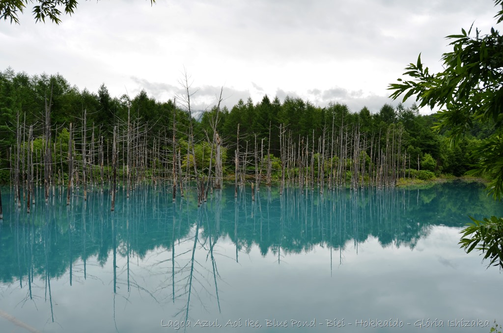 [Lagoa%2520Azul%2520-%2520Biei%2520-%2520Hokkaido%2520-%2520Gl%25C3%25B3ria%2520Ishizaka%2520-%252024%255B3%255D.jpg]