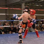 _1220109-crop.jpg