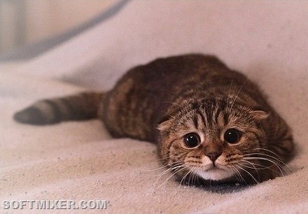 [cv0lzo3oFiU%255B9%255D.jpg]