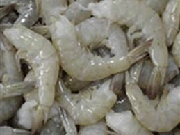 [raw-shrimp4.png]