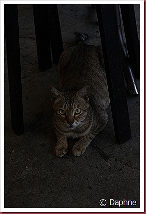 IMG_2745 IMG_2745