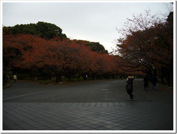 上野恩賜公園5
