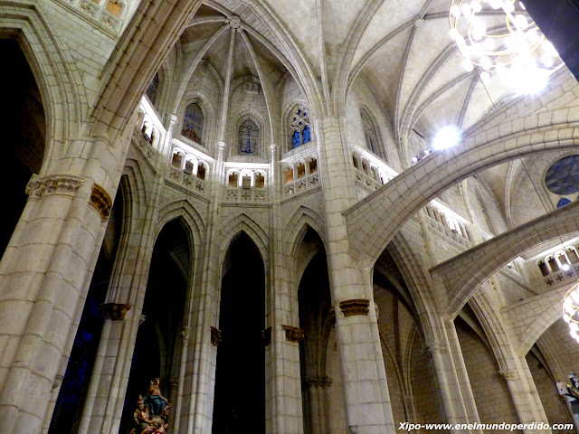 catedral-santa-maria-vitoria.JPG