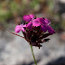 P7036119