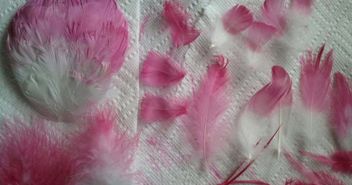 Beyond A Veil How To Dye Feathers
