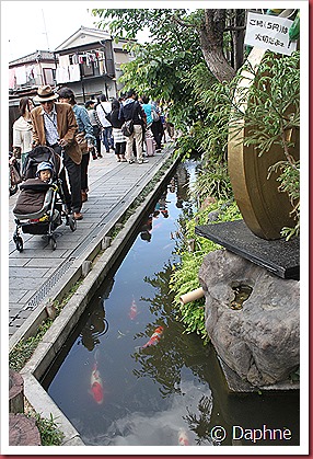 IMG_3292 IMG_3292