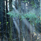 20091125 Allgaeu 0857 [640x480].JPG