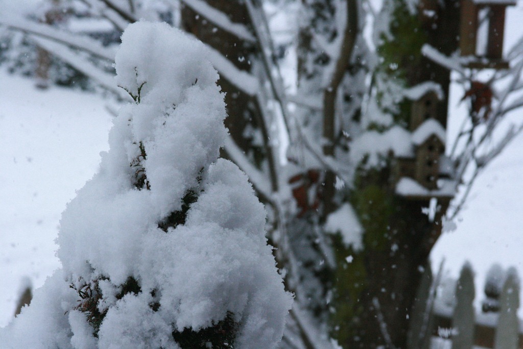 [snowdays10%255B3%255D.jpg]