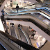 R0031863.JPG