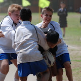 DSC_0313.JPG