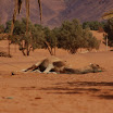DSC_5837.JPG