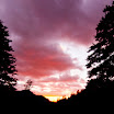 DSC_8411.jpg