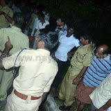 crocodile at nayathode 13.JPG