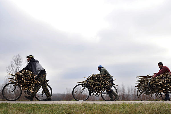 In Tiszakeszi, Hungary, villagers push their bicycles loaded with firewood beside land where the 'Vatican Forest' was supposed to be planted by KlimaFa, April 2010. The company marketed carbon offsets as a way to neutralize CO2 emissions and lessen global warming. BelA Szandelszky