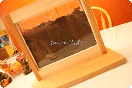 Ant farm made from picture frames