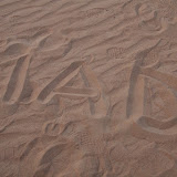 IMG_5285.JPG