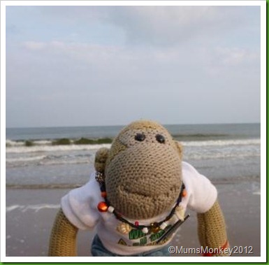 beach At Dawlish Warren