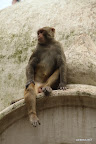 King of the castle