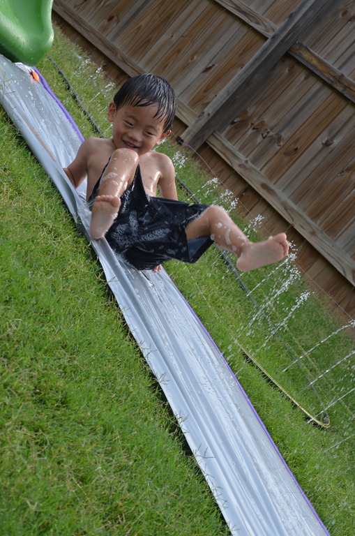 [DSC_14553.jpg]